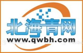 青蛙仔網(wǎng)絡(luò)代理 創(chuàng)新設(shè)計(jì)服務(wù)，開啟火爆招商新篇章